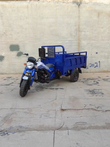 China Supply Wholesale Custom 3 Wheels 200cc 250cc Cargo Tricycle Motorised Farming Gasoline Trike Motorcycle