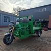 3 Wheel Cargo Tricycle Electric Tricycle Mini Dumper Electric Dump Truck