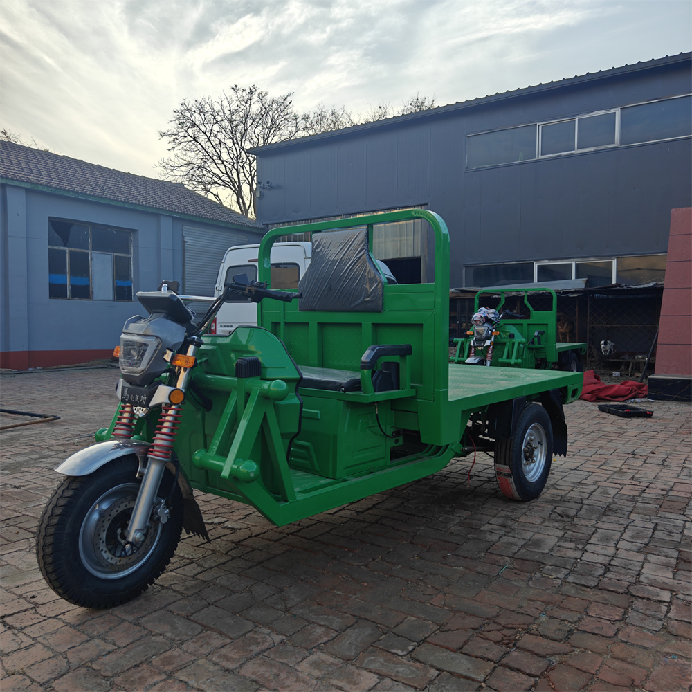 3 Wheel Cargo Tricycle Electric Tricycle Mini Dumper Electric Dump Truck