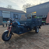 Cargo Three - Wheeled Electric Passenger Electric Bicycle 3 - Wheeled New Design Fat Tire Battery Charging Tricycle