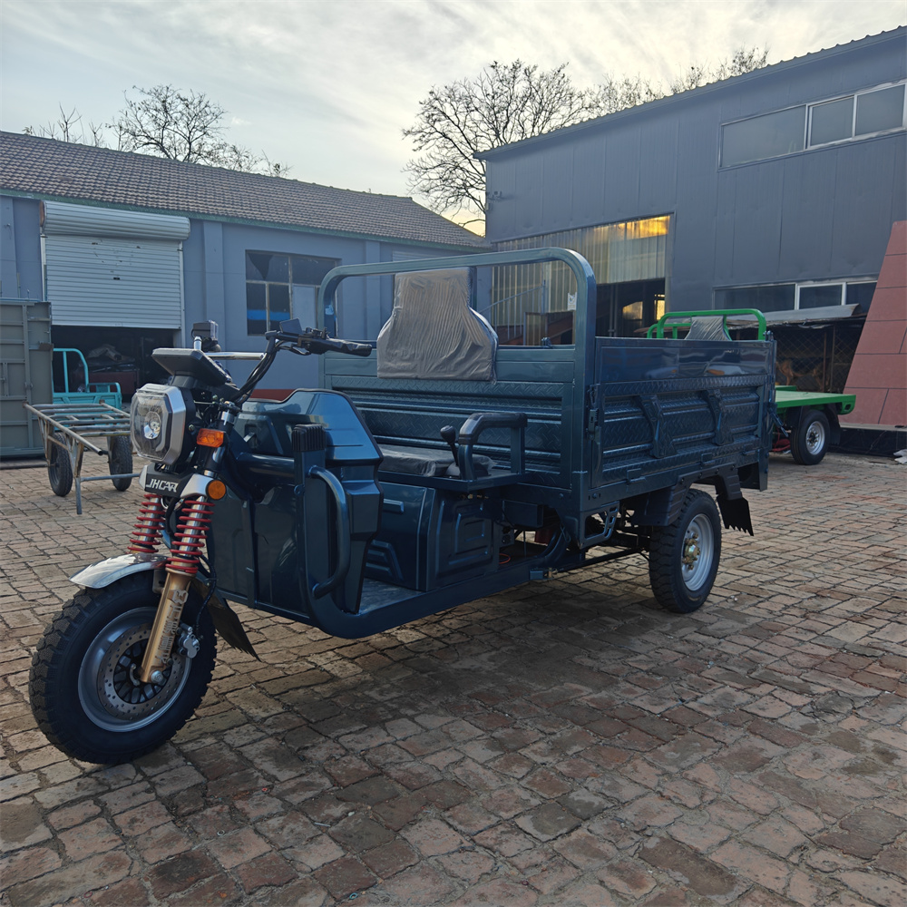 Cargo Three - Wheeled Electric Passenger Electric Bicycle 3 - Wheeled New Design Fat Tire Battery Charging Tricycle