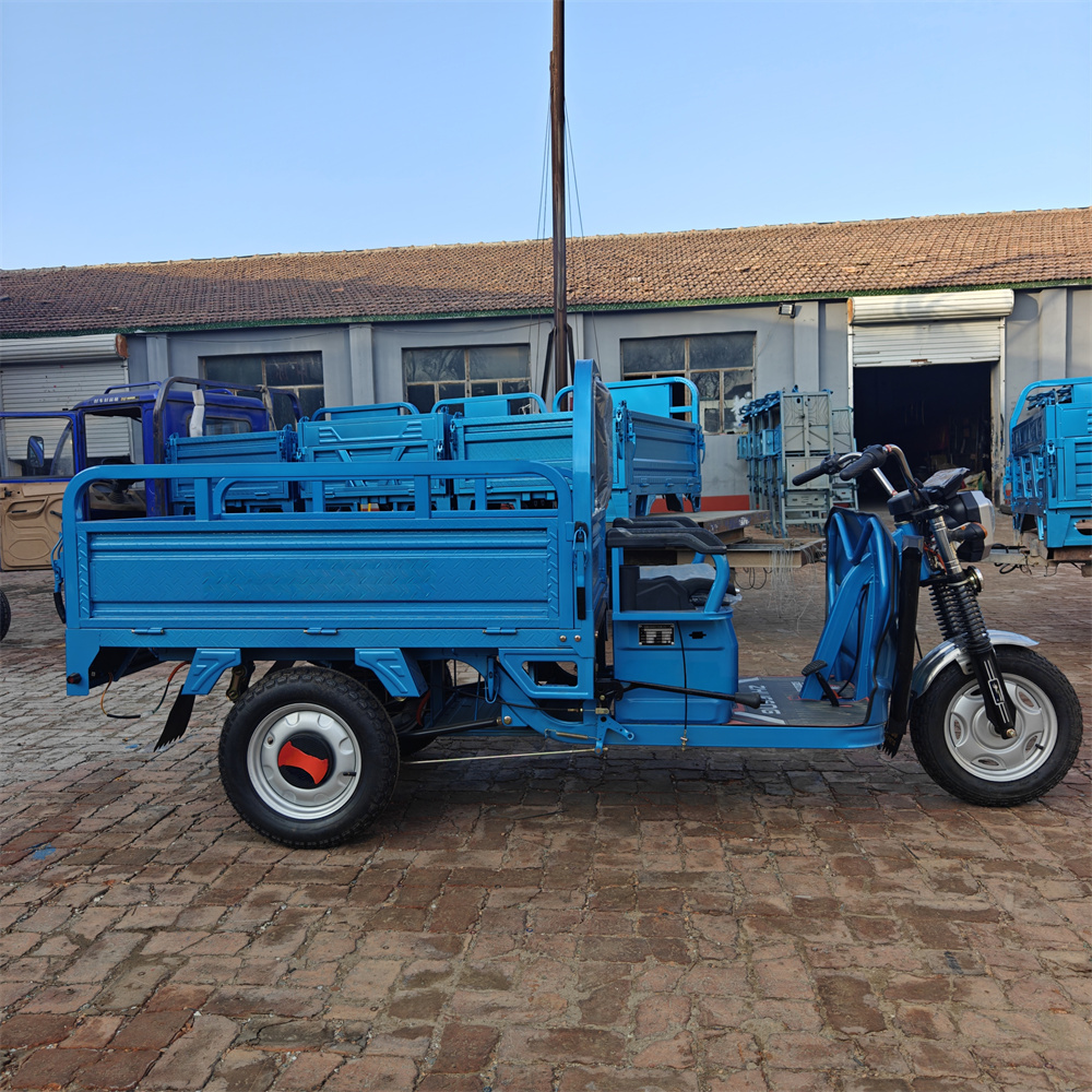 Hot Selling Electric Tricycles Cargo Truck Big Wheel Tricycle for Adult 1500W 25km/h 45km/h