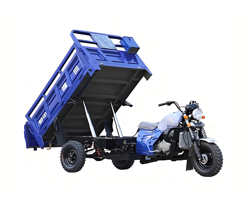 Fuel Powered Tricycle