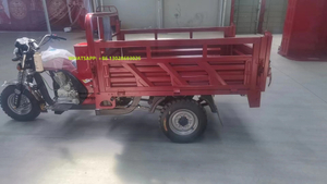 2025 China Hot Sale 150cc 200cc Three Wheel Tricycle Motorized Cargo Tricycle
