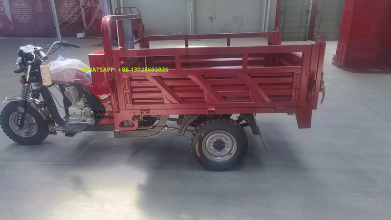2025 China Hot Sale 150cc 200cc Three Wheel Tricycle Motorized Cargo Tricycle