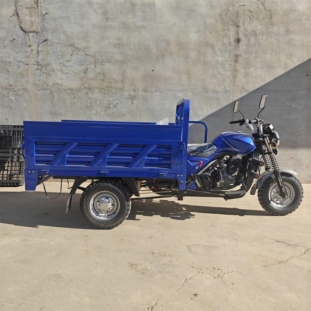 New China Manufacturer Heavy-Duty 200Cc Tricycle Motorcycle With Robust Tires for Urban And Off-Road Journeys
