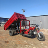 Motorized Gasoline Adult 5 Wheel 300cc Passenger Bicycle Motorcycle Trike Tricycle China Factory Price for Sale