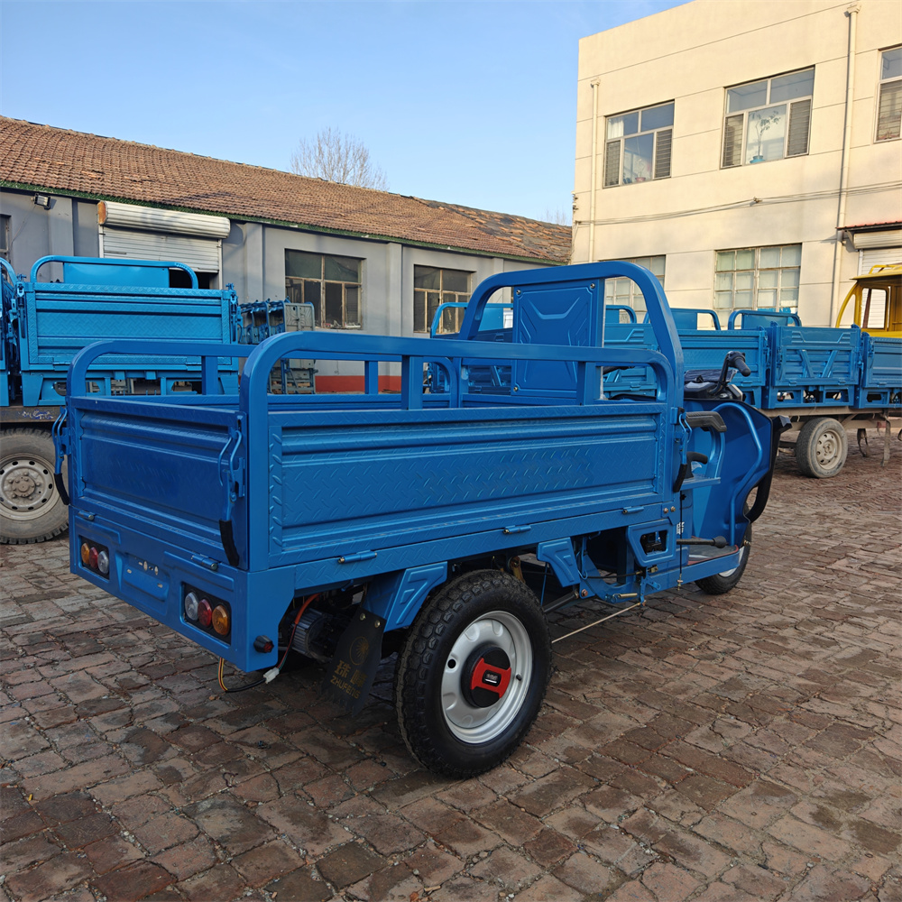 Hot Selling Electric Tricycles Cargo Truck Big Wheel Tricycle for Adult 1500W 25km/h 45km/h