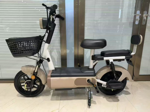 CHLEB003 Fudi Elderly Specific / Women's Special Electric Bike Supplier