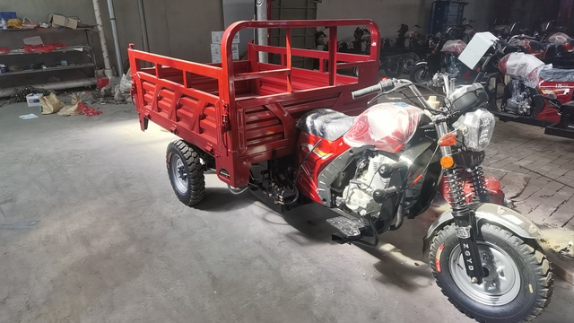200CC Motorized Tricycle Parts with Cargo for Adult Cargo Tricycle Motorcycle