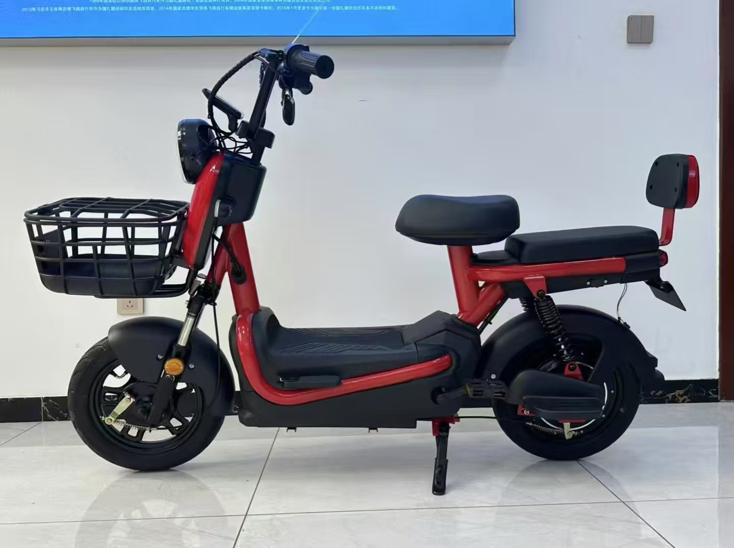 China Factory Supply Electric Mopeds Bike 48V 2 Seat Electric Bicycle for Adults