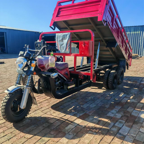 350CC Water Cooling Customized Double Wheel 9 Wheel Motorcycle Double Rear Axle 9 Wheel Cargo Tricycle