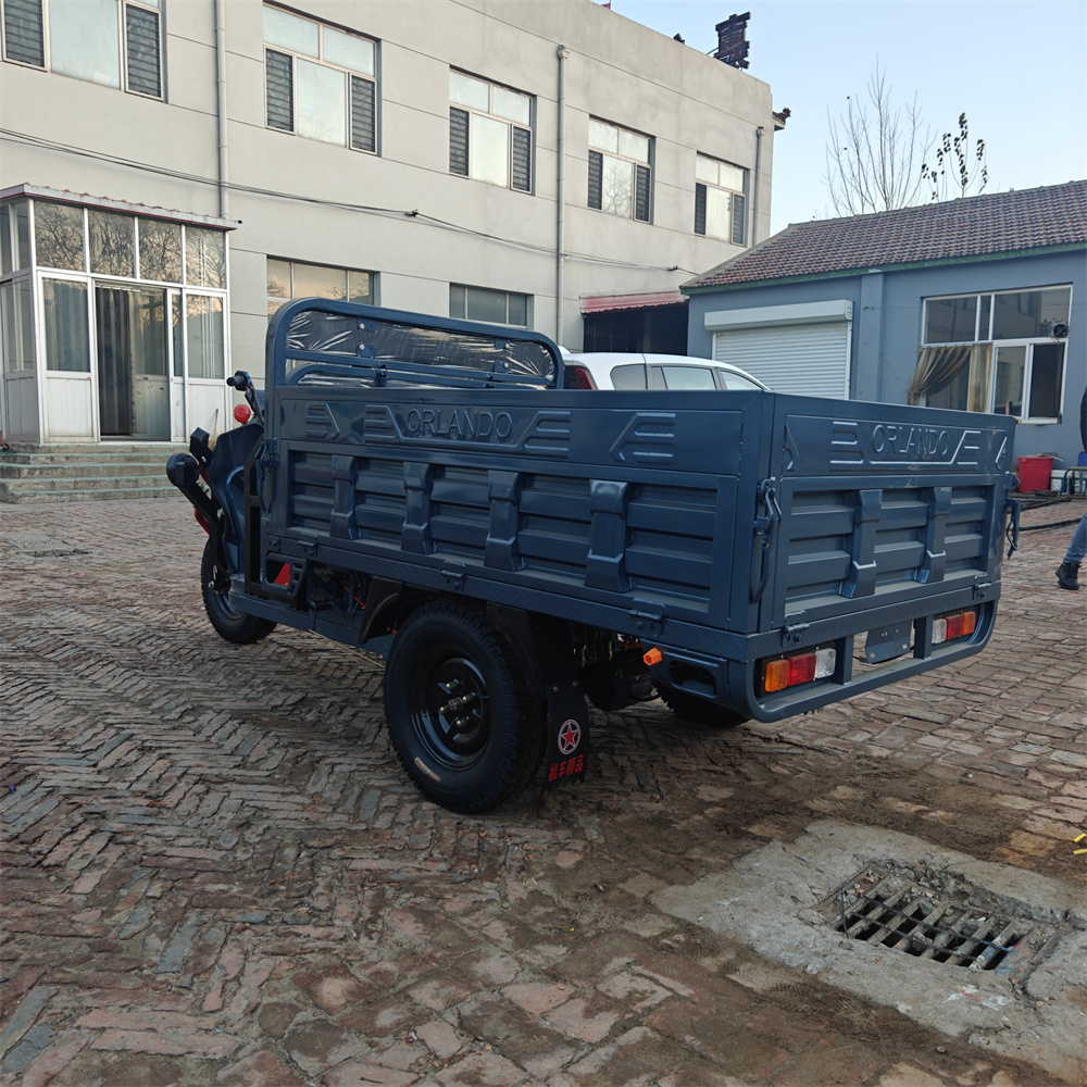 2025 Newly Launched Inexpensive Adult Electric Cargo Tricycle Open Body Type with 72 Volts and 20 Amperes