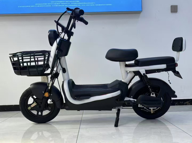 China Factory Supply Electric Mopeds Bike 48V 2 Seat Electric Bicycle for Adults