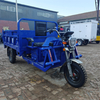 Electric Agricultural Use Cargo Tricycle 3-Wheel Motorcycle Trike with Open Body