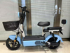 CHLEB003 Fudi Elderly Specific / Women's Special Electric Bike Supplier
