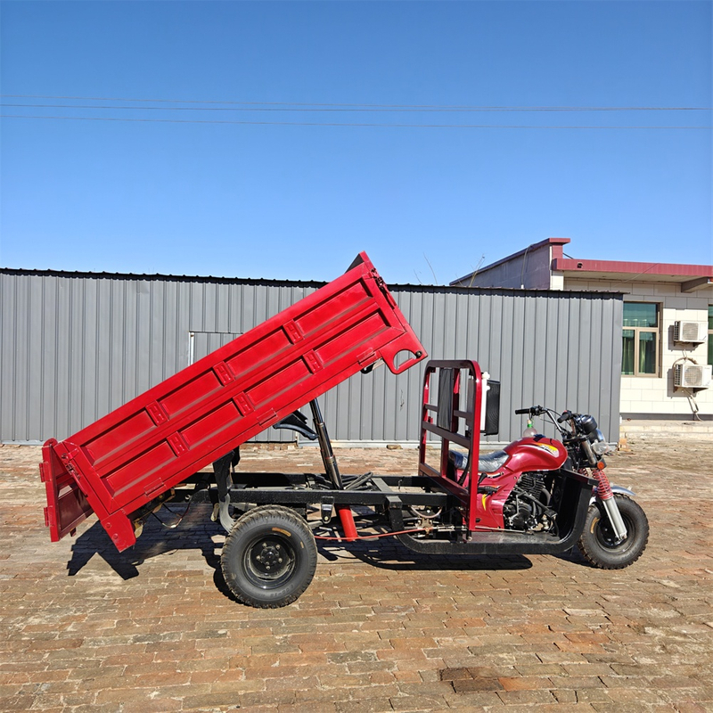 Motorized Gasoline Adult 5 Wheel 300cc Passenger Bicycle Motorcycle Trike Tricycle China Factory Price for Sale