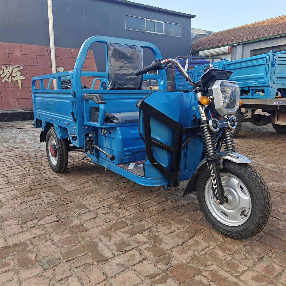 Hot Selling Electric Tricycles Cargo Truck Big Wheel Tricycle for Adult 1500W 25km/h 45km/h