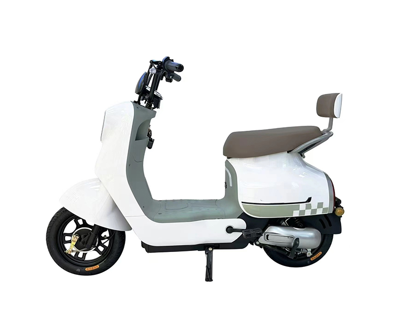 Electric Bicycle