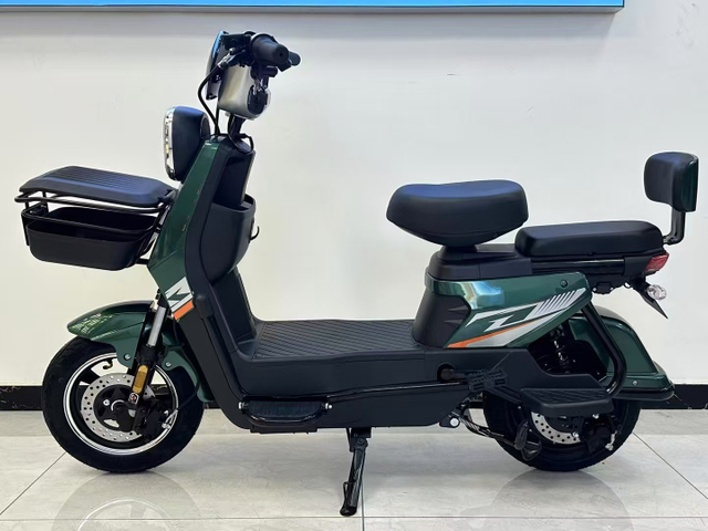 CHLEB001 800W-passenger electric / City specific / Elderly specific / Women's special electric bike supplier