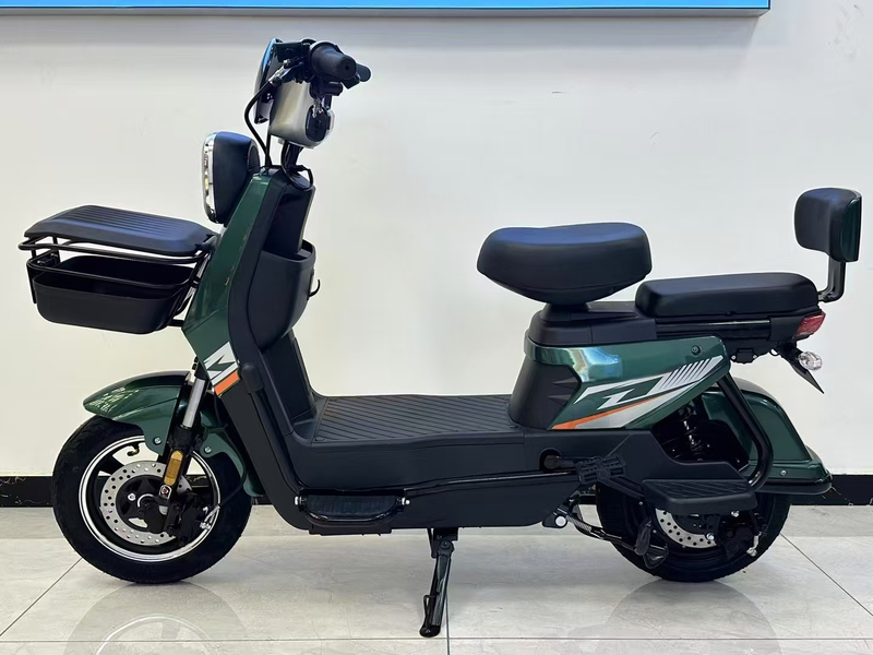 CHLEB001 800W-passenger electric / City specific / Elderly specific / Women's special electric bike supplier
