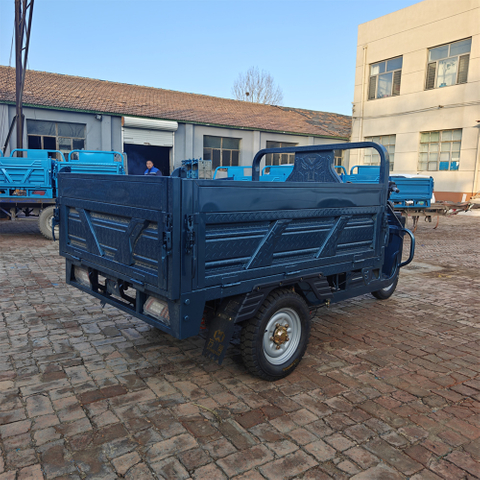 Cargo Three - Wheeled Electric Passenger Electric Bicycle 3 - Wheeled New Design Fat Tire Battery Charging Tricycle