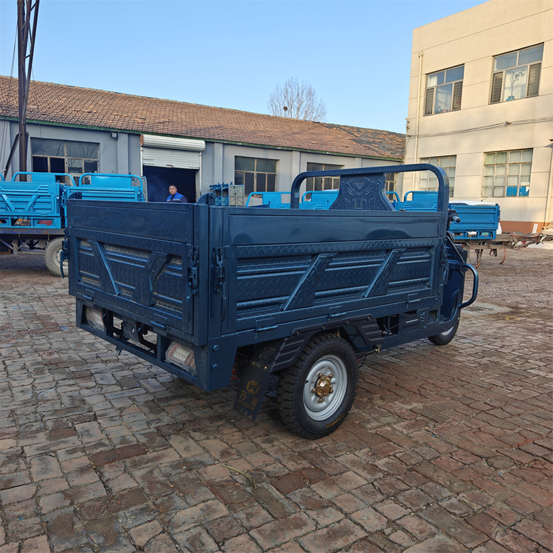 Cargo Three - Wheeled Electric Passenger Electric Bicycle 3 - Wheeled New Design Fat Tire Battery Charging Tricycle