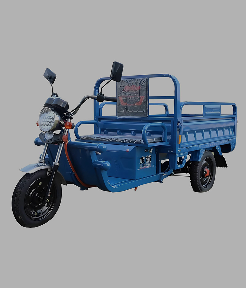 Cargo Electric Tricycle