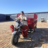 200cc Single-Cylinder Water-Cooled Engine Cargo Tricycle/Three-Wheel Motorcycle Trike