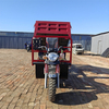Motorized Gasoline Adult 5 Wheel 300cc Passenger Bicycle Motorcycle Trike Tricycle China Factory Price for Sale