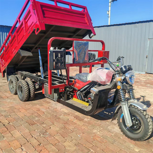 350CC Water Cooling Customized Double Wheel 9 Wheel Motorcycle Double Rear Axle 9 Wheel Cargo Tricycle