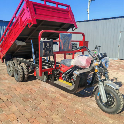 350CC Water Cooling Customized Double Wheel 9 Wheel Motorcycle Double Rear Axle 9 Wheel Cargo Tricycle