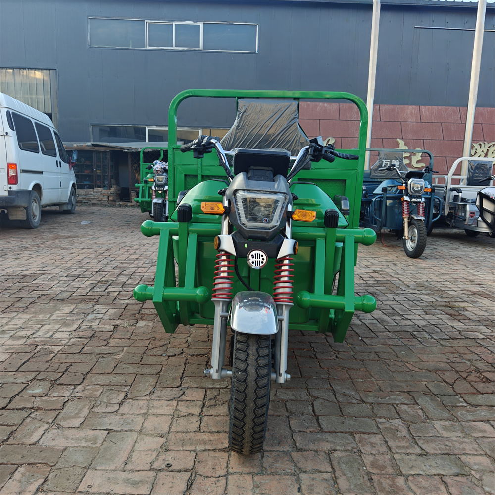 3 Wheel Cargo Tricycle Electric Tricycle Mini Dumper Electric Dump Truck