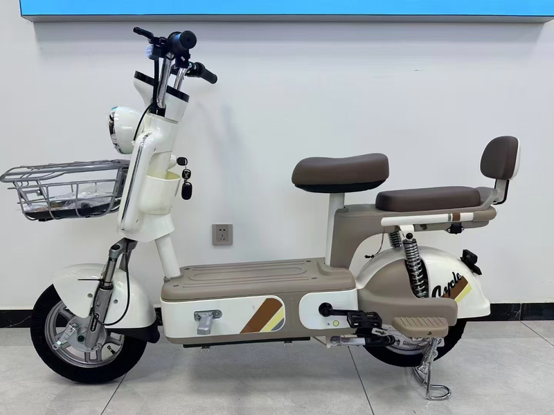 China Electric Bicycle China Cheap Ebike Electric Bikes Lead-acid Electrica City Bicycle Bike for Adults