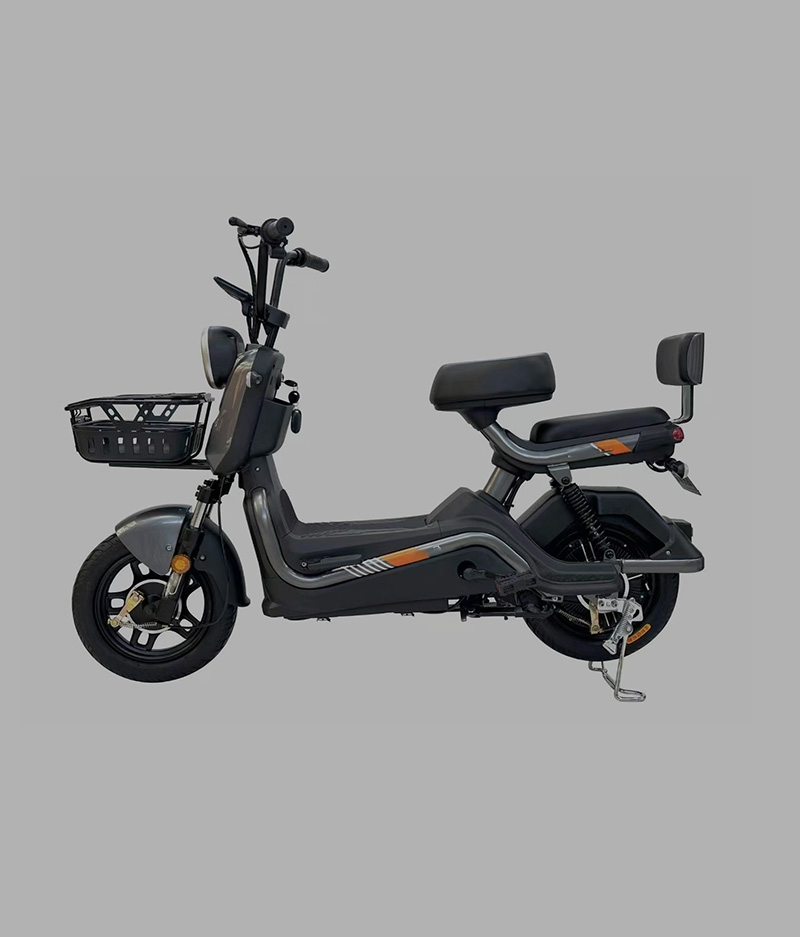 Electric Bicycle