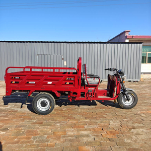 Cheap Prices 150cc Triporteur Tricycle Moteur Adult Motorized Tricycle for Sale