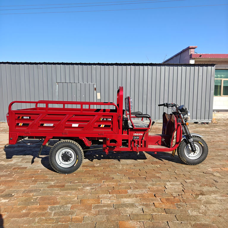 Cheap Prices 150cc Triporteur Tricycle Moteur Adult Motorized Tricycle for Sale