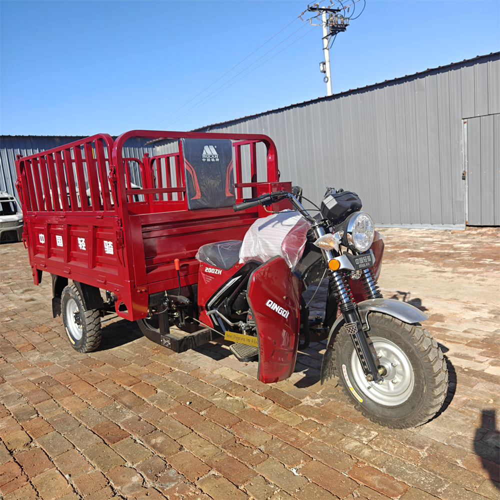 200cc Single-Cylinder Water-Cooled Engine Cargo Tricycle/Three-Wheel Motorcycle Trike