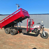 350CC Water Cooling Customized Double Wheel 9 Wheel Motorcycle Double Rear Axle 9 Wheel Cargo Tricycle