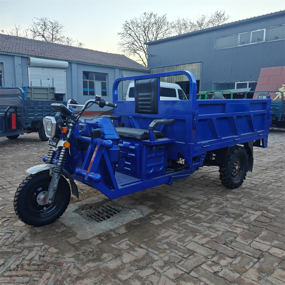 Electric Agricultural Use Cargo Tricycle 3-Wheel Motorcycle Trike with Open Body