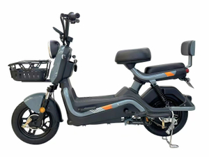 CHLEB005 Shangku-China Electric Bike / Passenger Electric Bike Supplier