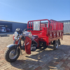 200cc Single-Cylinder Water-Cooled Engine Cargo Tricycle/Three-Wheel Motorcycle Trike