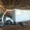 Mini Refrigerator Cold Freezer 3 Wheel Motorised Tricycle Adult Electric Tricycle With Cooler Box