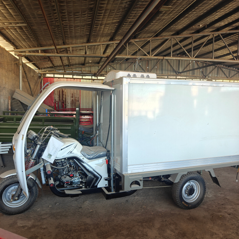Mini Refrigerator Cold Freezer 3 Wheel Motorised Tricycle Adult Electric Tricycle With Cooler Box