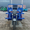 Electric Agricultural Use Cargo Tricycle 3-Wheel Motorcycle Trike with Open Body