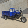 New China Manufacturer Heavy-Duty 200Cc Tricycle Motorcycle With Robust Tires for Urban And Off-Road Journeys