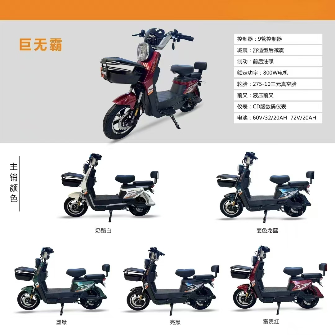 CHLEB001 800W-passenger electric / City specific / Elderly specific / Women's special electric bike supplier
