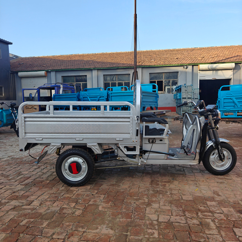 CHLE1500W-3W1-China Electric Tricycle / Cargo Tricycle Cargo Electric Tricycle / Supplier