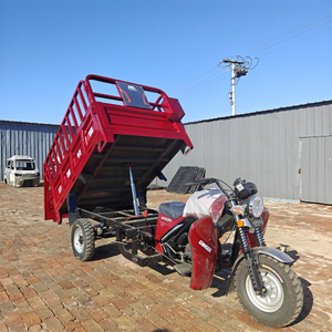 200cc Single-Cylinder Water-Cooled Engine Cargo Tricycle/Three-Wheel Motorcycle Trike