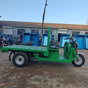 3 Wheel Cargo Tricycle Electric Tricycle Mini Dumper Electric Dump Truck